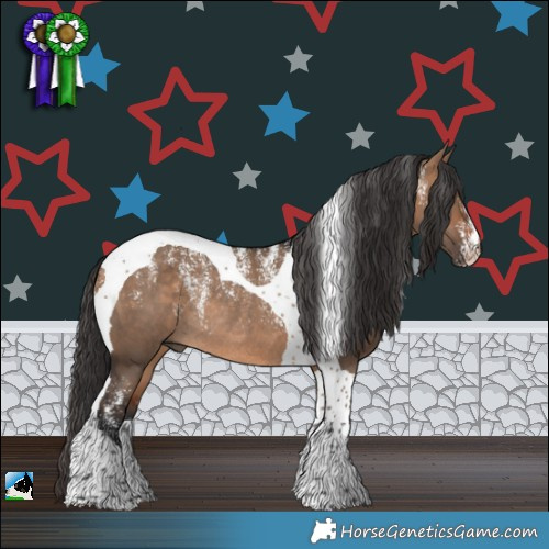 Horse Color:Powder White Bay Dun Tobiano Rabicano