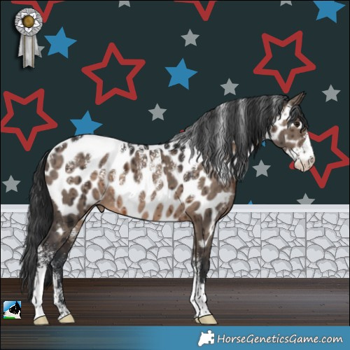Horse Color:Powder White Brown Dun Appaloosa Brindle 