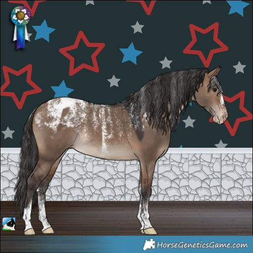 Horse Color:Powder White Brown Dun Appaloosa