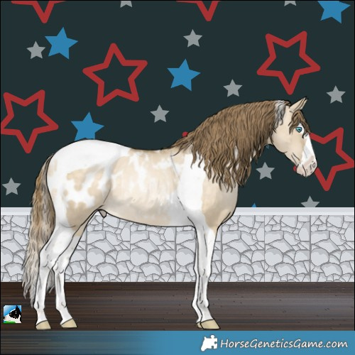 Horse Color:Buckskin Snowdrop Dun Splash Tobiano Appaloosa Rabicano 
