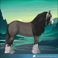 Horse Color:Gray Grullo 