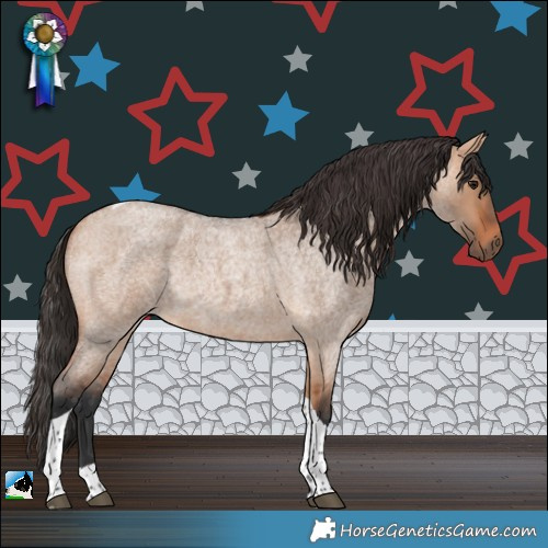 Horse Color:Bay Roan Dun Tobiano Rabicano 