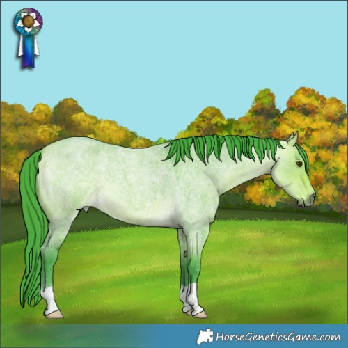 Horse Color:Watercolor Buckskin Roan Dun 