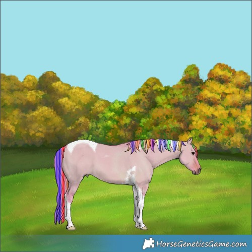 Horse Color:Painted Watercolor Bay Dun Tobiano 