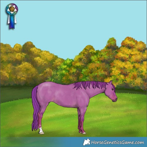 Horse Color:Watercolor Liver Red Dun 