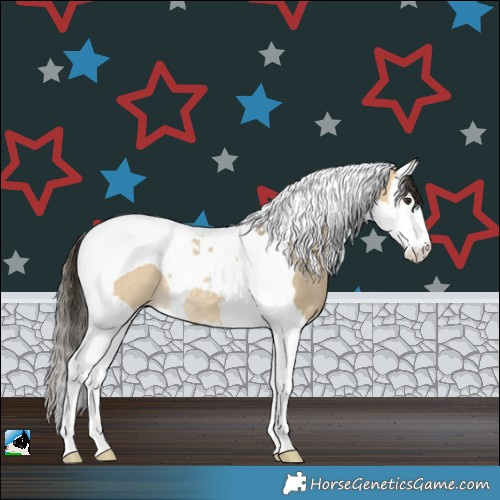 Horse Color:Buckskin Dun Splash Tobiano Rabicano 