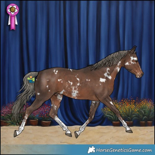 Horse Color:White Spotted Liver Chestnut Mushroom Sabino 