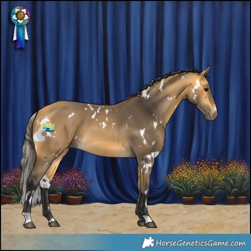 Horse Color:White Spotted Buckskin
