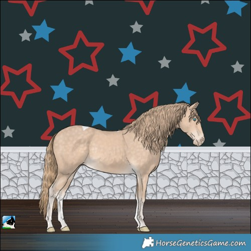 Horse Color:Perlino Tobiano Rabicano 