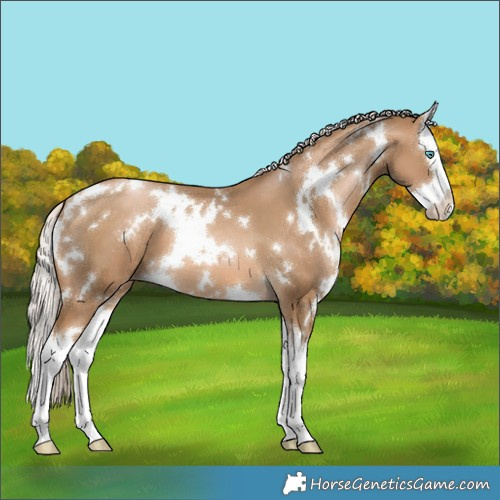 Horse Color:White Spotted Chocolate Palomino Pearl Splash 