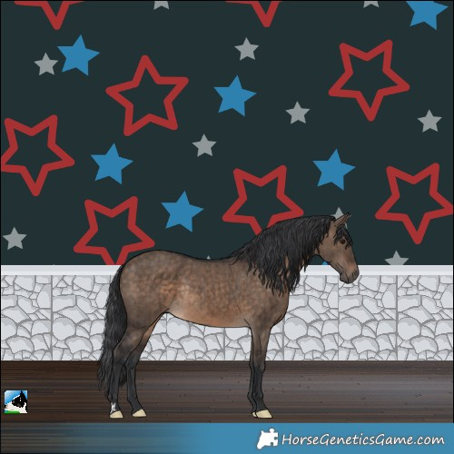 Horse Color:Brown Dun Rabicano Brindle 