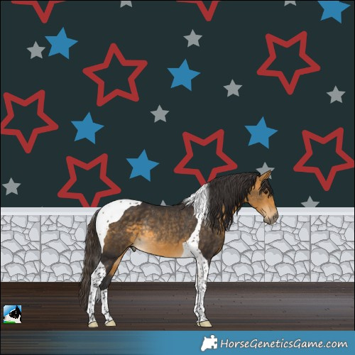 Horse Color:Buckskin Tobiano Rabicano