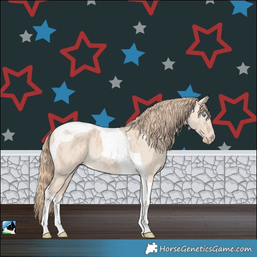 Horse Color:Perlino Dun Tobiano Rabicano Brindle 