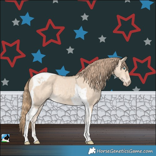Horse Color:Perlino Dun Tobiano Rabicano Brindle 