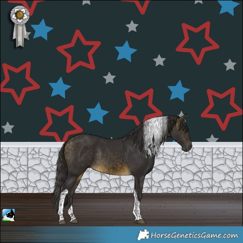 Horse Color:Buckskin Tobiano Rabicano