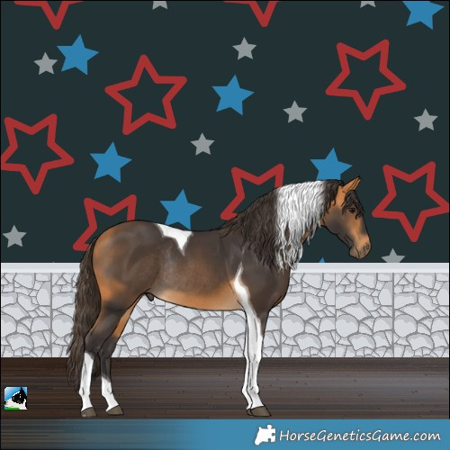 Horse Color:Buckskin Tobiano Rabicano