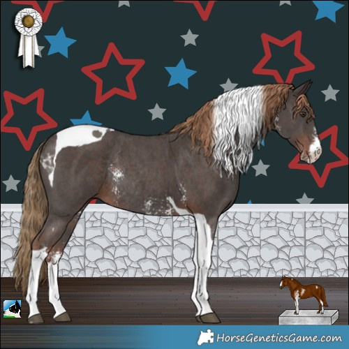 Horse Color:Liver Chestnut Sabino Tobiano Rabicano