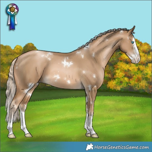 Horse Color:White Spotted Chocolate Palomino Pearl Splash 