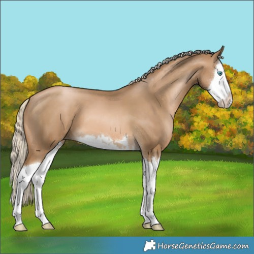 Horse Color:Chocolate Palomino Pearl Splash 