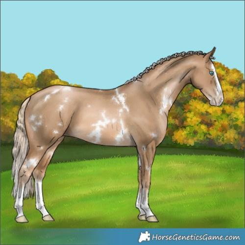 Horse Color:White Spotted Chocolate Palomino Pearl Splash 