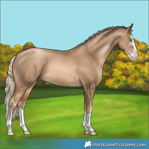 Horse Color:Chocolate Palomino Pearl Splash