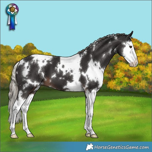 Horse Color:White Spotted Liver Chestnut Splash