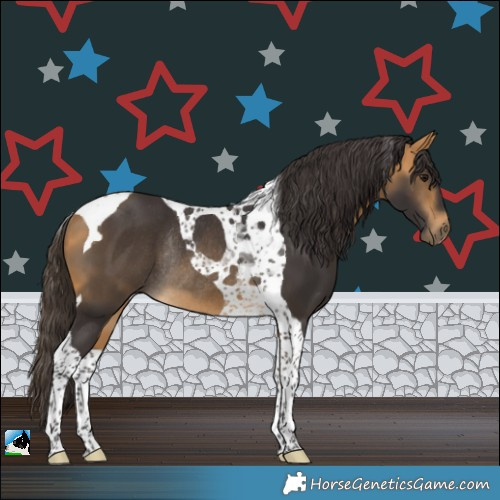Horse Color:Buckskin Tobiano Rabicano