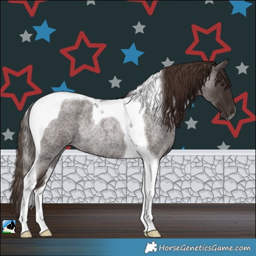 Horse Color:Liver Red Roan Tobiano Rabicano