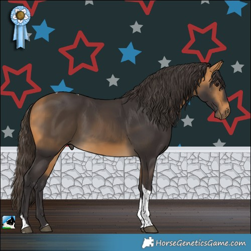 Horse Color:Buckskin Tobiano