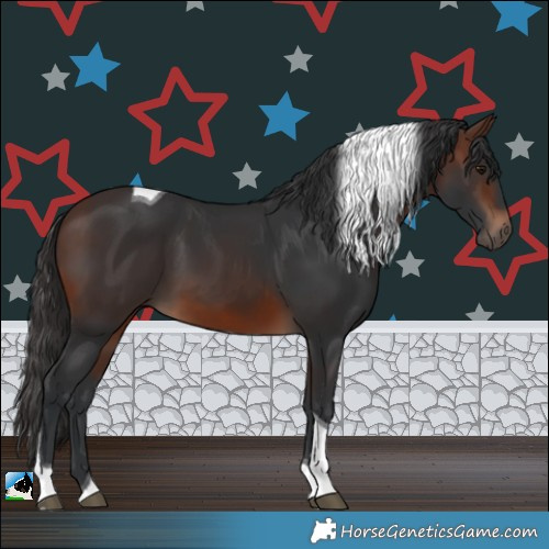 Horse Color:Brown Tobiano 