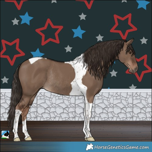 Horse Color:Liver Red Dun Tobiano Rabicano 
