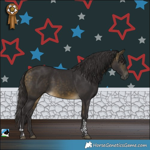 Horse Color:Buckskin Tobiano Rabicano