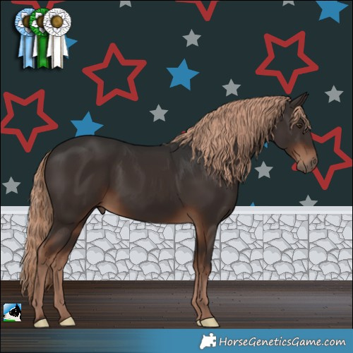 Horse Color:Liver Chestnut