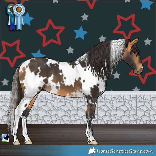 Horse Color:White Spotted Buckskin