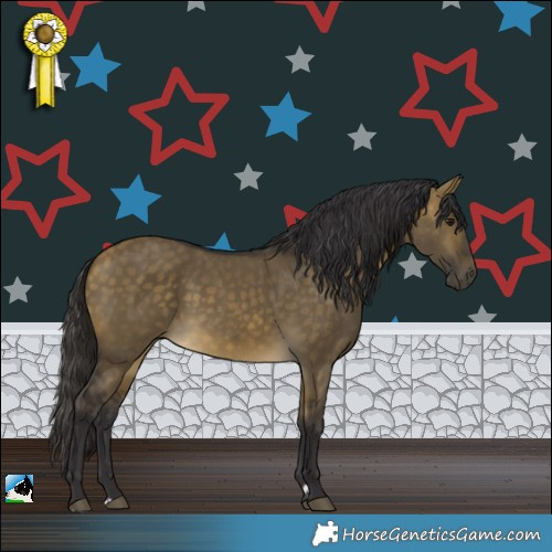 Horse Color:Buckskin Dun Rabicano 