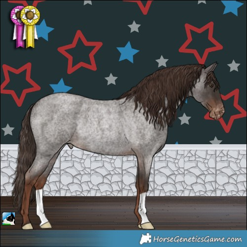 Horse Color:Liver Red Roan Appaloosa Rabicano