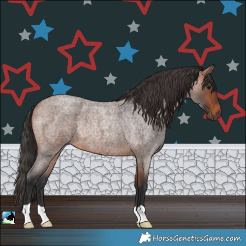 Horse Color:Bay Roan Rabicano