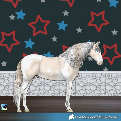 Horse Color:Perlino Splash Tobiano Rabicano 
