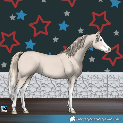 Horse Color:Smoky Creme Splash 