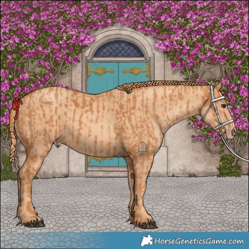 Horse Color:Chestnut and Gold Champagne