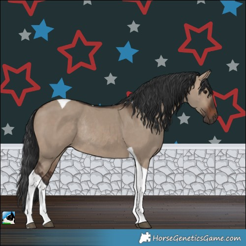 Horse Color:Brown Dun Tobiano Rabicano 
