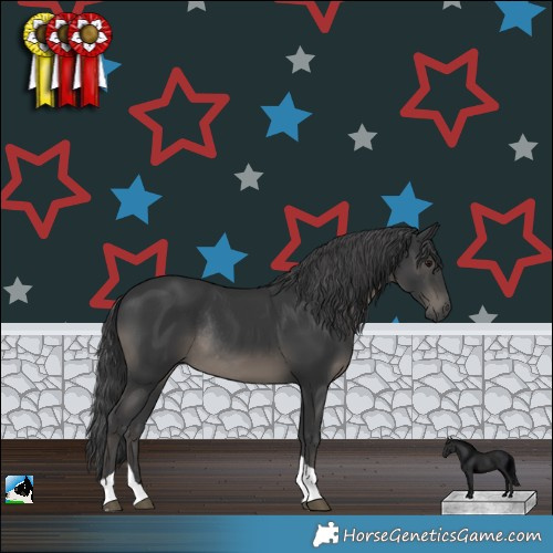 Horse Color:Black Tobiano Rabicano