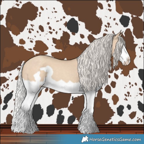 Horse Color:Silver Classic Champagne Dun Splash Frame 