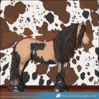 Horse Color:Black Rabicano and Bay Dun Rabicano