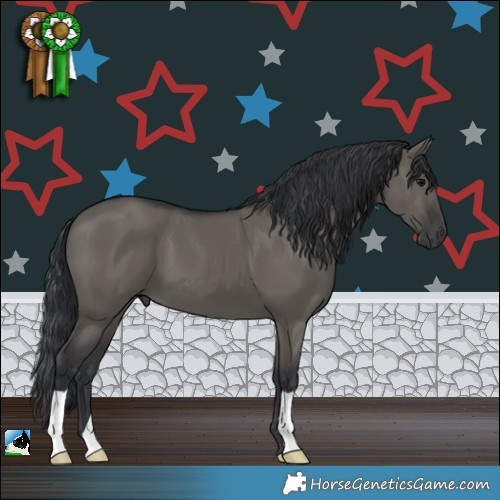 Horse Color:Grullo