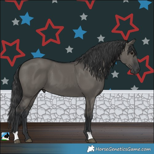 Horse Color:Grullo 