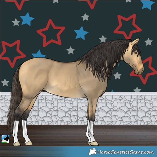 Horse Color:Buckskin Dun