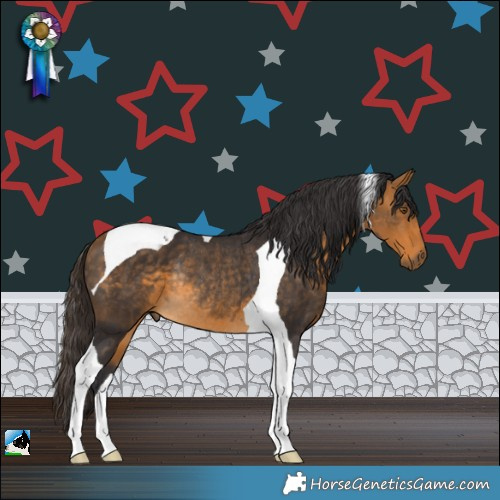 Horse Color:Buckskin Tobiano Rabicano 
