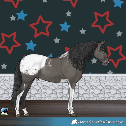 Horse Color:Grullo Tobiano Appaloosa Rabicano 