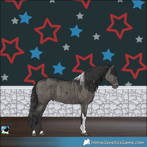 Horse Color:Grullo Tobiano Appaloosa Rabicano Brindle 